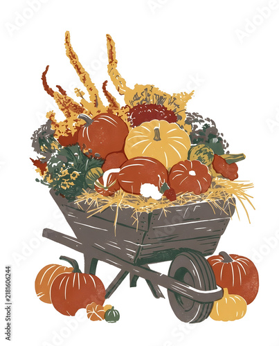Wooden wheelbarrow with autumn pumpkins harvest illustration. High resolution illustration with natural colors.