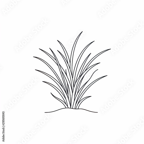 Wild Grass Tuft Line Art Vector Icon