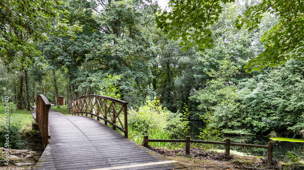 Obraz premium Curved wooden bridge over river in lush natural park