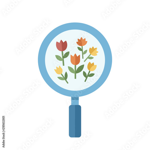 Flat illustration of a blue magnifying glass examining colorful tulip flowers in red orange yellow and green