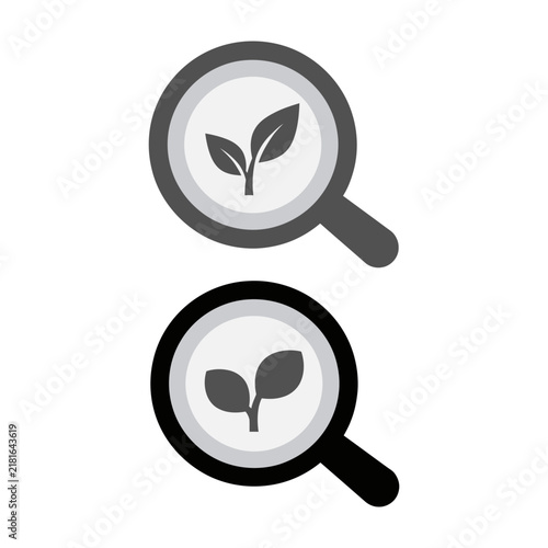 Magnifying glass examining leaf icon for research and analysis