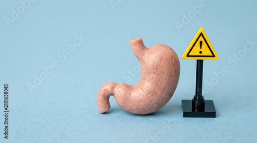 Human stomach model with warning sign for gastritis and ulcer