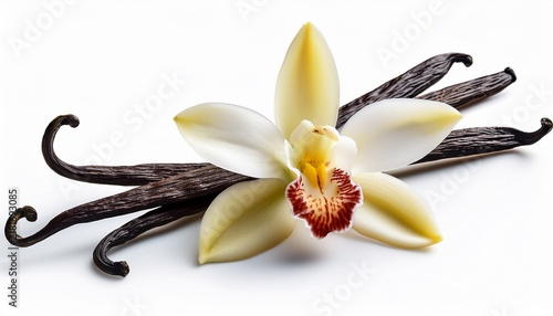 vanilla flower and beans white isolated on a white background