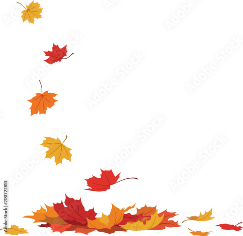 Fotografie Falling autumn maple leaves with a pile on the ground isolated on a white background vector illustration