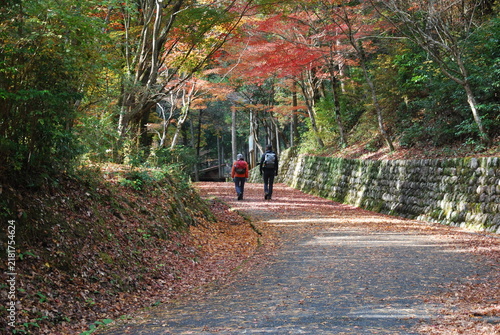 Obraz na plátne 秋の紅葉の中を散策する二人のハイカー