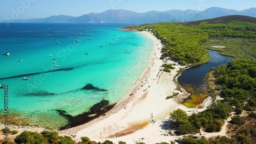 Plage de Saleccia Agriates Corsica drone flyover river pine trees white sand beach. Scenic aerial video tropical beach turquoise sea coastline, green pine forest landscape France travel 4K.
