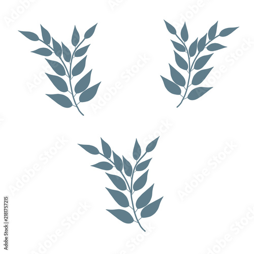 Stylish graphic illustration of botanical plants