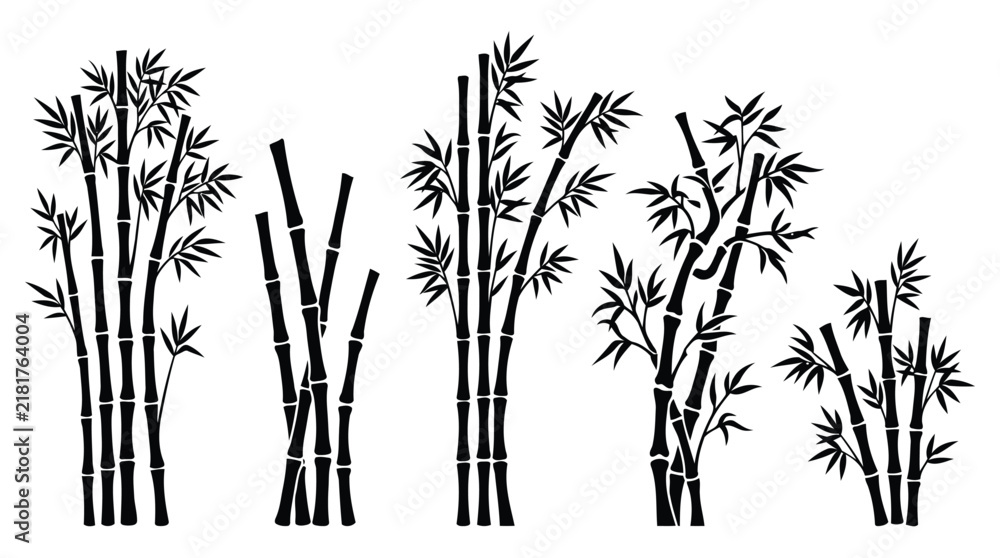 Obraz premium Black and white line art flowers and plants illustration