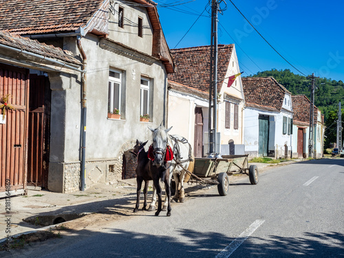 Colorful houses and a donkey in rural village of Richis in Romania