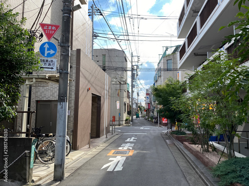 住宅が建ち並ぶ東京の道路と晴れた日の街並み