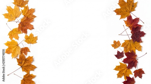 A beautiful vertical border made of vibrant autumn maple leaves isolated on a white background perfect for your seasonal thanksgiving holiday greeting card design projects