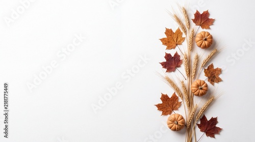 A beautiful vertical arrangement of colorful autumn leaves wheat stalks and small decorative pumpkins isolated on a clean white background for your festive thanksgiving holiday