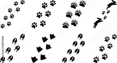 Foto Animal footprint tracks silhouette vector set isolated on plain white background