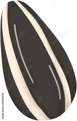 해바라기씨