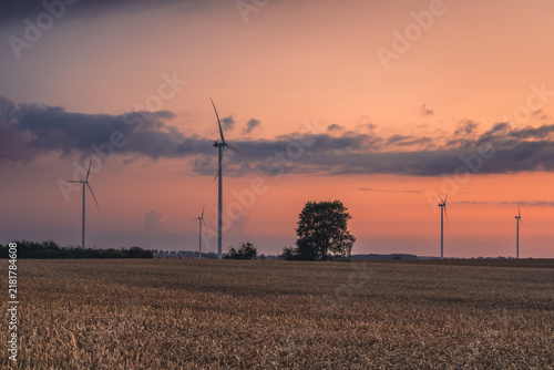 Wind turbines in the farmland of the Pałuki region
