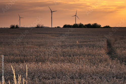 Wind turbines in the farmland of the Pałuki region