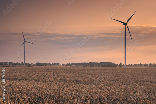 Wind turbines in the farmland of the Pałuki region