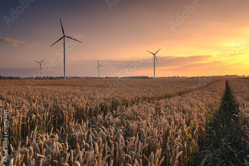 Wind turbines in the farmland of the Pałuki region