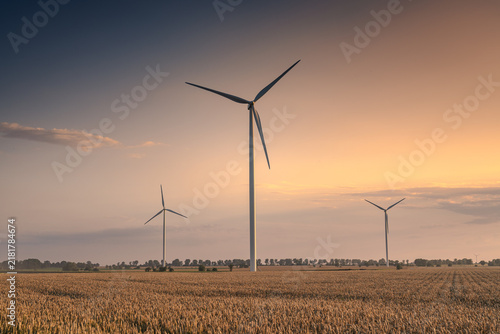 Wind turbines in the farmland of the Pałuki region