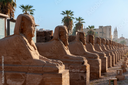 Camino de las esfinges entre el templo de Lúxor y el templo de karnak