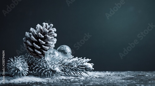 3d First Day of Winter (USA/Canada) abstract background new 2026 Pine cone and branches on a textured surface in black and white illustration