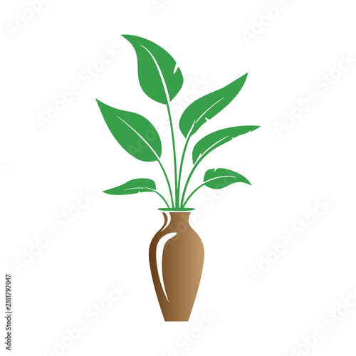 Green leafy houseplant in a decorative brown pot isolated on white background with green leaves