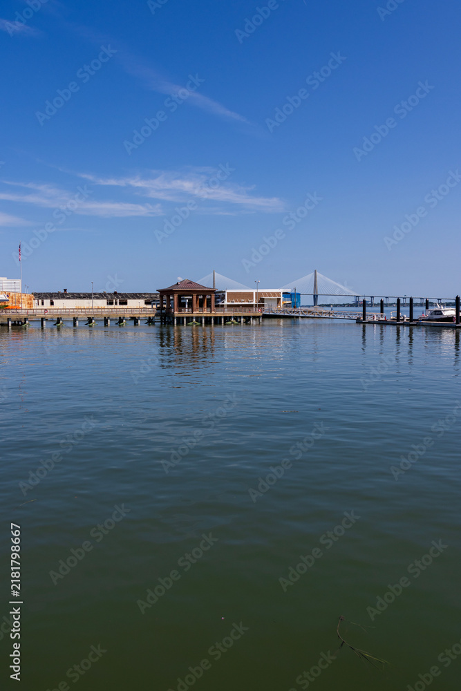 Fototapeta premium A gorgeous landscape along the waterfront in Charleston South Carolina USA