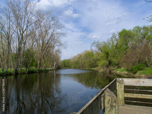 Wooden Dock on a Calm River Surrounded by Trees