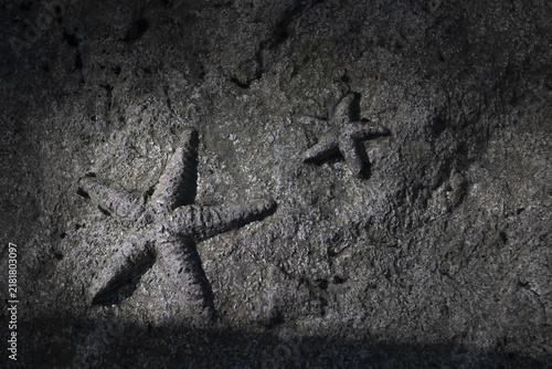 Pair of starfish large and small like real fossils on a stone. Natural background with intentionally darkened corners.