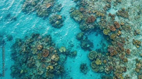 Aerial view of colorful coral reef in clear blue ocean water