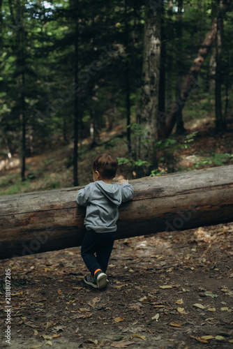 Foto A little boy is walking in the forest