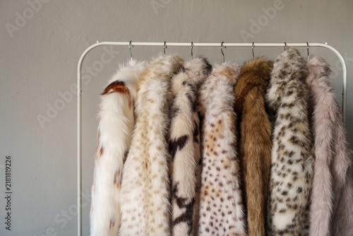 Canvastavla Faux fur coats hanging on clothing rack in neutral interior