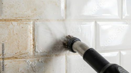 High pressure steam cleaner on tiles | Professional grout cleaning services | Removing bathroom mold and grime | Eco-friendly home cleaning solutions