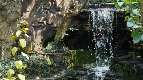 Photography A small decorative waterfall cascades down stone tiers surrounded by lush green garden foliage