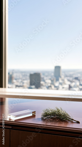 Sunlit office credenza with glass award paperweight and pine sprig overlooking blurred winter skyline