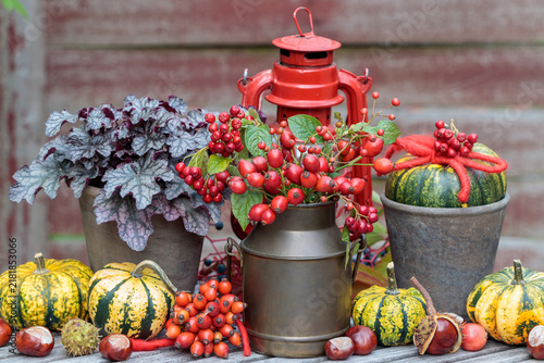 Herbst-Gartenarrangement mit Hagebutten-Strauß, Kürbissen und Heuchera im Blumentopf	