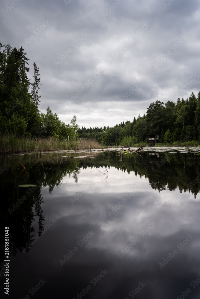 Obraz premium Finnish lake and forest on an overcast day.