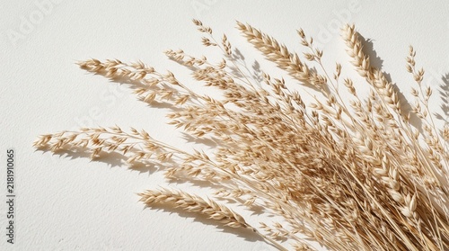 Dry wheat stalks lie on white background. Golden cereal grain bunch creates minimalist pattern with soft shadows. Natural autumn flora texture for organic design. Rustic dried plants decoration for