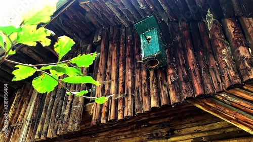 Wooden birdhouse mounted on a rustic wooden wall with green tree leaves in the foreground.