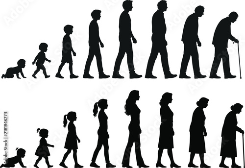 silhouettes of human life phases for men and women