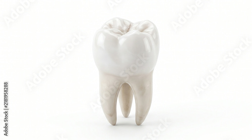 Realistic 3D render of a human molar tooth isolated on a clean white background