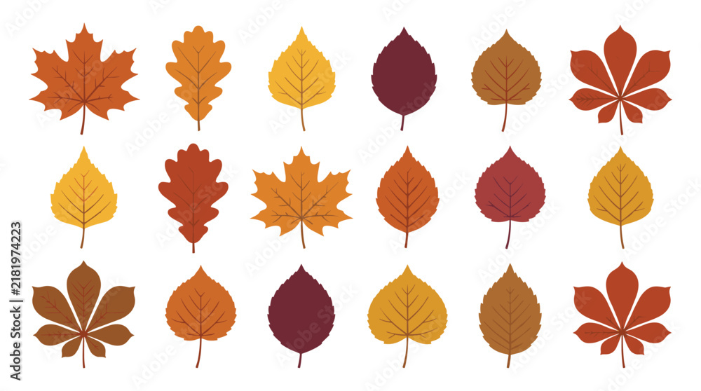 Fototapeta premium Autumn Leaf Assortment: A vibrant collection of autumn leaves in various shapes and warm hues, representing the beautiful transition of seasons.