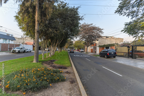 Suburban Street Scene: A quiet suburban street with a well-maintained grassy median, lined with mature trees and residential houses, under a clear sky