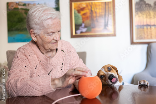 Konstfotografi Senior woman interacting with voice assistant technology at home, a beagle watch