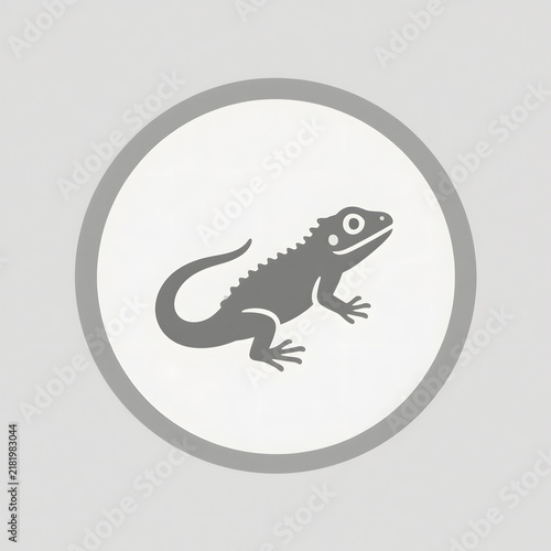 Minimalist lizard icon representing wild desert nature