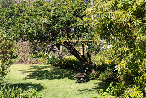 Canvas Print Lonely wooden bench sits under shady trees in lush garden
