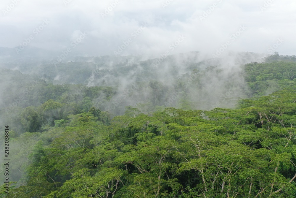 Obraz premium Tropical forest landscape covered in morning mist and drifting clouds