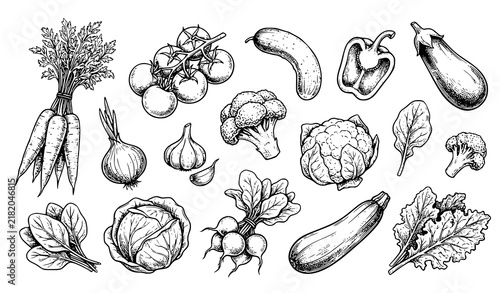 Hand Drawn Fresh Vegetables Collection Black and White Vector Sketch