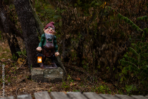 Canvastavla Garden Gnome