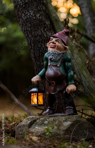 Quadro su tela Garden Gnome